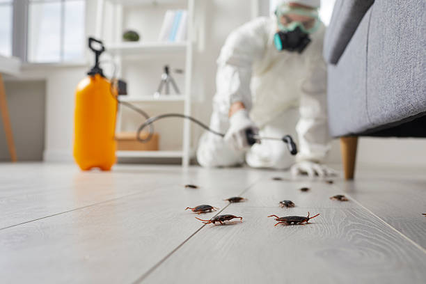 Post-Treatment Bed Bug Interceptor Monitoring in Ocala